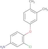 3-Chloro-4-(3,4-dimethylphenoxy)aniline