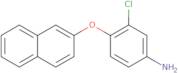 3-Chloro-4-(2-naphthyloxy)aniline