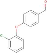 4-(2-Chlorophenoxy)benzaldehyde