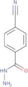 4-Cyanobenzohydrazide