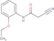 2-Cyano-N-(2-ethoxyphenyl)acetamide