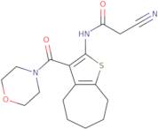 2-Cyano-N-[3-(morpholin-4-ylcarbonyl)-5,6,7,8-tetrahydro-4H-cyclohepta[b]thien-2-yl]acetamide