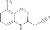 2-Cyano-N-(2,3-dimethylphenyl)acetamide
