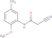 2-Cyano-N-(2-methoxy-5-methylphenyl)acetamide