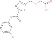 [(5-{[(3-Chlorophenyl)amino]carbonyl}-1,3,4-thiadiazol-2-yl)methoxy]acetic acid