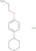 [2-(4-Cyclohexylphenoxy)ethyl]amine hydrochloride