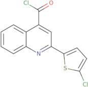 2-(5-Chloro-2-thienyl)quinoline-4-carbonyl chloride