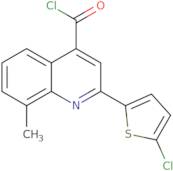 2-(5-Chloro-2-thienyl)-8-methylquinoline-4-carbonyl chloride