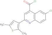 6-Chloro-2-(2,5-dimethyl-3-thienyl)quinoline-4-carbonyl chloride