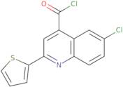 6-Chloro-2-(2-thienyl)quinoline-4-carbonyl chloride