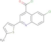 6-Chloro-2-(5-methyl-2-thienyl)quinoline-4-carbonyl chloride