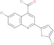 6-Chloro-2-(5-chloro-2-thienyl)quinoline-4-carbonyl chloride