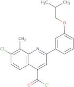 7-Chloro-2-(3-isobutoxyphenyl)-8-methylquinoline-4-carbonyl chloride