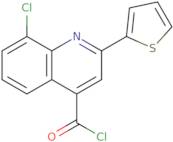 8-Chloro-2-(2-thienyl)quinoline-4-carbonyl chloride