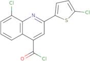 8-Chloro-2-(5-chloro-2-thienyl)quinoline-4-carbonyl chloride