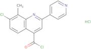 7-Chloro-8-methyl-2-pyridin-4-ylquinoline-4-carbonyl chloride hydrochloride