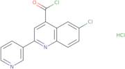 6-Chloro-2-pyridin-3-ylquinoline-4-carbonyl chloride hydrochloride
