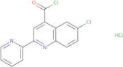 6-Chloro-2-pyridin-2-ylquinoline-4-carbonyl chloride hydrochloride