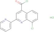 8-Chloro-2-pyridin-2-ylquinoline-4-carbonyl chloride hydrochloride