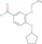 4-(Cyclopentyloxy)-3-ethoxybenzoyl chloride