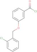 3-[(2-Chlorobenzyl)oxy]benzoyl chloride