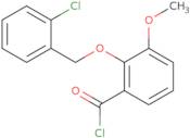 2-[(2-Chlorobenzyl)oxy]-3-methoxybenzoyl chloride