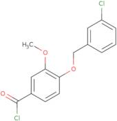 4-[(3-Chlorobenzyl)oxy]-3-methoxybenzoyl chloride