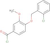 4-[(2-Chlorobenzyl)oxy]-3-methoxybenzoyl chloride