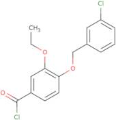 4-[(3-Chlorobenzyl)oxy]-3-ethoxybenzoyl chloride