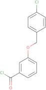 3-[(4-Chlorobenzyl)oxy]benzoyl chloride