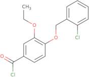 4-[(2-Chlorobenzyl)oxy]-3-ethoxybenzoyl chloride