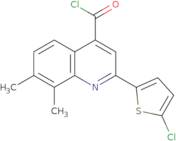 2-(5-Chloro-2-thienyl)-7,8-dimethylquinoline-4-carbonyl chloride