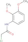 2-Chloro-N-(2,3-dimethoxyphenyl)acetamide