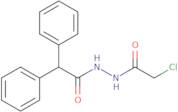 N'-(Chloroacetyl)-2,2-diphenylacetohydrazide