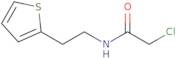 2-Chloro-N-[2-(2-thienyl)ethyl]acetamide