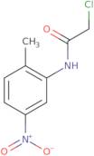 2-Chloro-N-(2-methyl-5-nitrophenyl)acetamide