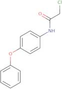 2-Chloro-N-(4-phenoxyphenyl)acetamide