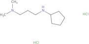N'-Cyclopentyl-N,N-dimethylpropane-1,3-diamine dihydrochloride