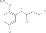 3-Chloro-N-(5-chloro-2-methoxyphenyl)propanamide