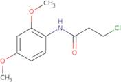 3-Chloro-N-(2,4-dimethoxyphenyl)propanamide