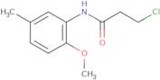 3-Chloro-N-(2-methoxy-5-methylphenyl)propanamide