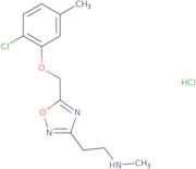 (2-{5-[(2-Chloro-5-methylphenoxy)methyl]-1,2,4-oxadiazol-3-yl}ethyl)methylamine hydrochloride