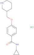 N-Cyclopropyl-4-(piperidin-3-ylmethoxy)benzamide hydrochloride