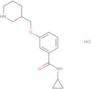 N-Cyclopropyl-3-(piperidin-3-ylmethoxy)benzamide hydrochloride