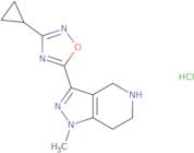 3-(3-Cyclopropyl-1,2,4-oxadiazol-5-yl)-1-methyl-4,5,6,7-tetrahydro-1H-pyrazolo[4,3-c]pyridine hydr…