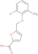 5-[(2-Chloro-6-methylphenoxy)methyl]-2-furoic acid