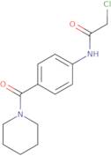 2-Chloro-N-[4-(piperidin-1-ylcarbonyl)phenyl]acetamide