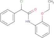 2-Chloro-N-(2-ethoxyphenyl)-2-phenylacetamide