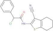 2-Chloro-N-(3-cyano-4,5,6,7-tetrahydro-1-benzothien-2-yl)-2-phenylacetamide