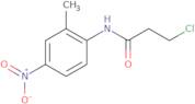 3-Chloro-N-(2-methyl-4-nitrophenyl)propanamide